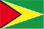 Vietnam E-visa for Guyana citizens